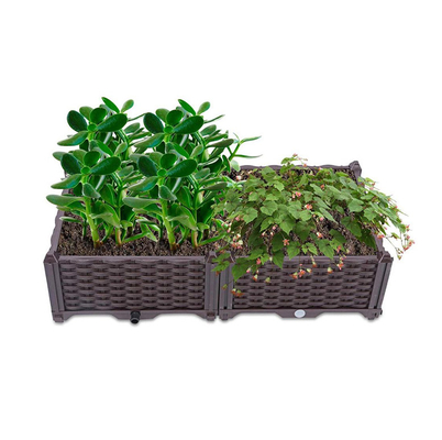 Letti di fiore alzati di plastica di fiore della via 80cm della piantatrice di plastica del contenitore con il foro di scolo