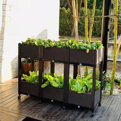 Letti di piantatura alzati di plastica conservabili della prova dell'insetto Herb Planter Box On Wheels