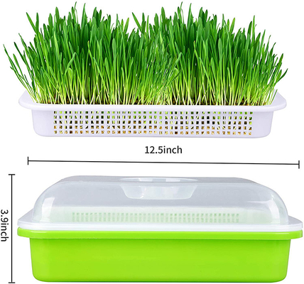 Germoglio di trasmissione leggero Tray Seed Germination Box Flexible del seme