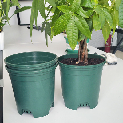 Vasi rotondi di plastica a 6 pollici resistenti della pianta dei vasi 9cm della scuola materna di Sun della famiglia