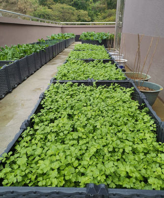 Tempo di impiego lungo del giardino del cortile 0.5mm-16.0mm della scatola di plastica spessa della piantatrice