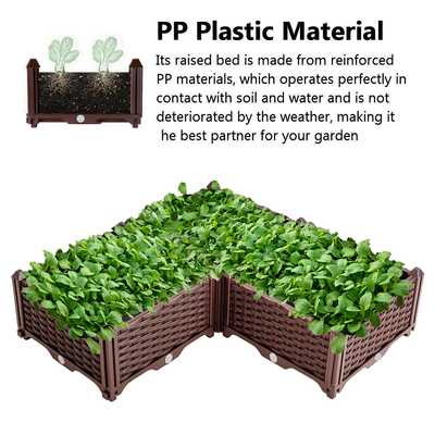 Piantatrice di plastica del recipiente della famiglia dell'OEM di fiore dei contenitori della prova di plastica lunga europea dell'insetto