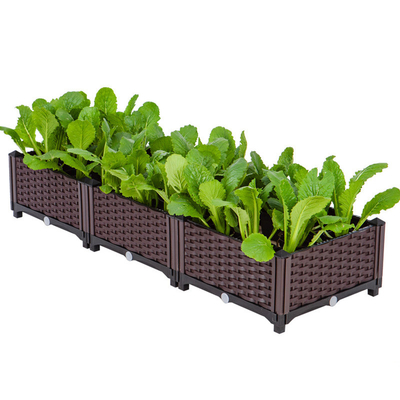Il giardino all'aperto che pianta il giardino di plastica della scatola ha alzato il letto del giardino alzato alta qualità del letto