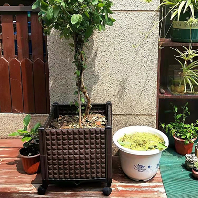 Grande vaso da fiori di plastica rettangolare scatola conveniente europea di stile della singola che pianta giardinaggio piantando scatola
