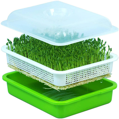 Vassoio di plastica idroponico respirabile