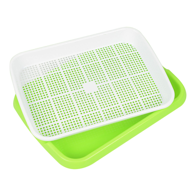 Germoglio di trasmissione leggero Tray Seed Germination Box Flexible del seme