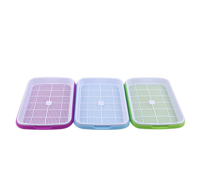 germoglio crescente Tray Biodegradable del seme dell'alta acqua di plastica di 11cm