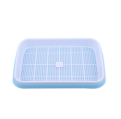 lunghezza Bean Sprout Growing Tray Two Tray Sprouter No Leakage di 31cm