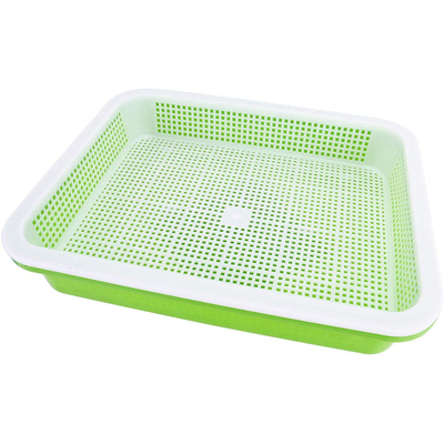 lunghezza Bean Sprout Growing Tray Two Tray Sprouter No Leakage di 31cm
