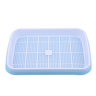 lunghezza Bean Sprout Growing Tray Two Tray Sprouter No Leakage di 31cm