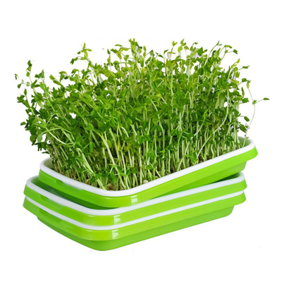 Pp riciclabili Microgreen che germoglia i vassoi con uso della cucina del coperchio della copertura