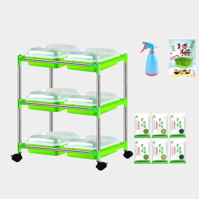Piantina d'idratazione di verdure Tray Stand For Nursery del commestibile dello SGS