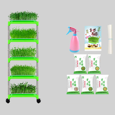 Piantina rivestita Tray Stand Mung Bean Sprouting Tray Environment del PE amichevole
