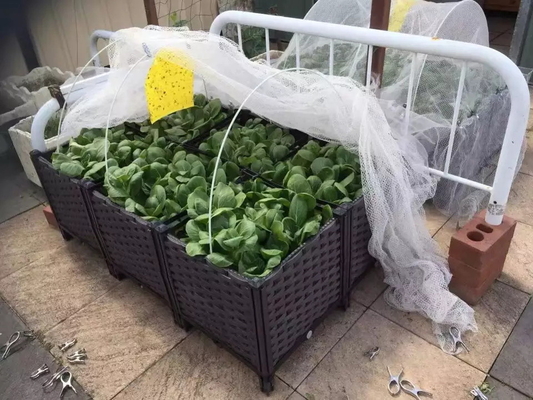 Fioriera rialzata in plastica da giardino per letto da giardino rettangolare retrò